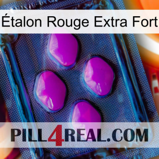 Étalon Rouge Extra Fort 04